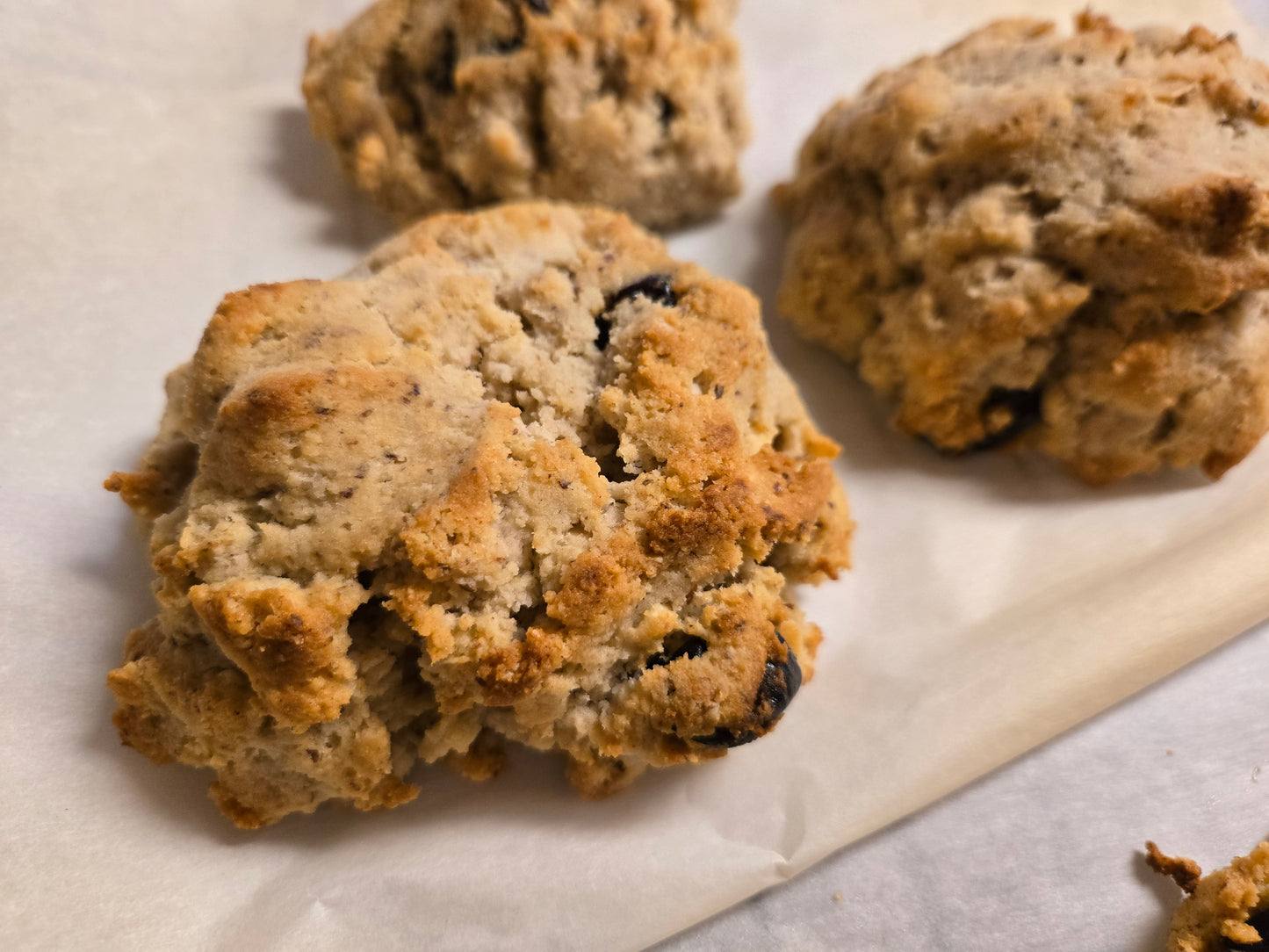 Seasonal Scones- 6 ct